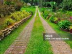 manfaat-jalan-kaki-tanpa-sandal-di-atas-rumput-berembun-56254 Photo by istockphoto.com - Manfaat Jalan Kaki Tanpa Sandal di Atas Rumput Berembun