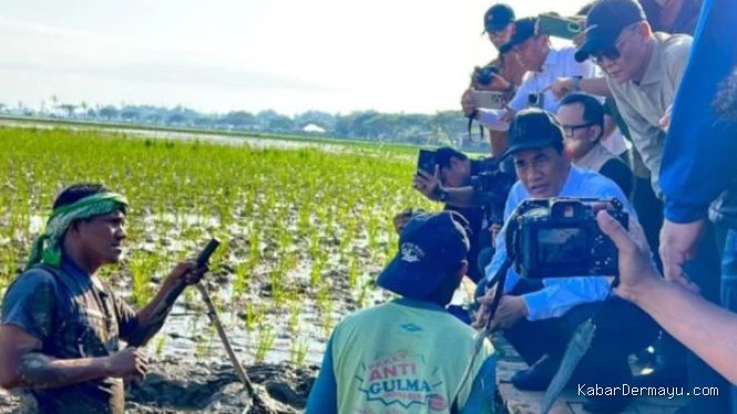 Mentan Amran: Produktivitas Pertanian Wajib Sejahterakan Petani