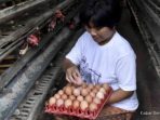 modal-rp1-juta-bisa-cuan-ini-12-ide-bisnis-harian-paling-potensial-97696 Modal Rp1 Juta Bisa Cuan? Ini 12 Ide Bisnis Harian Paling Potensial