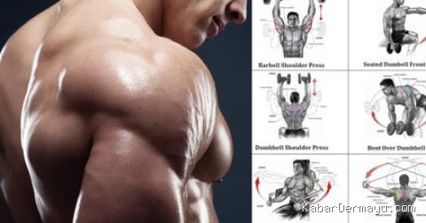 Photo by kibrispdr.org - Panduan Latihan Otot Bahu di Rumah dengan Dumbbell Sederhana