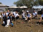 Pertamina Patra Niaga Balongan Tanam 11 Ribu Mangrove di Eretan