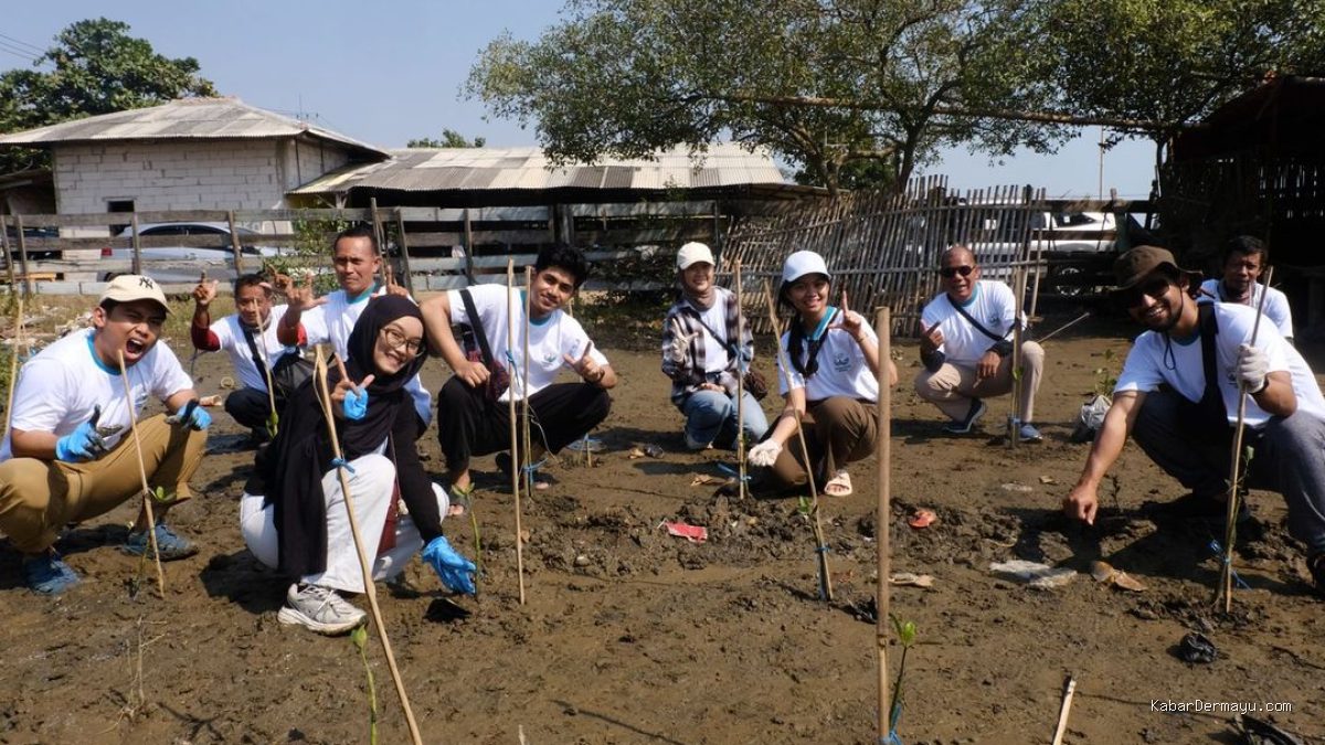 Pertamina Patra Niaga Balongan Tanam 11 Ribu Mangrove di Eretan