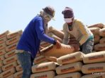 Semen Langka di Aceh Hambat Pemulihan Bencana, Ini Kata Wagub Fadhlullah