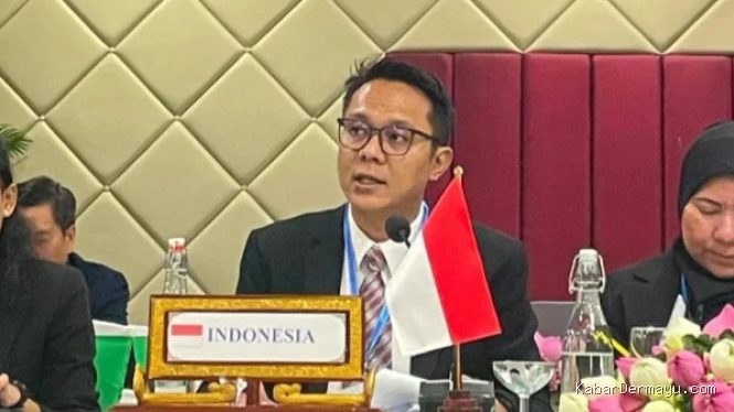 Strategi Indonesia Pimpin Diplomasi Kehutanan Dunia, Apa Saja?