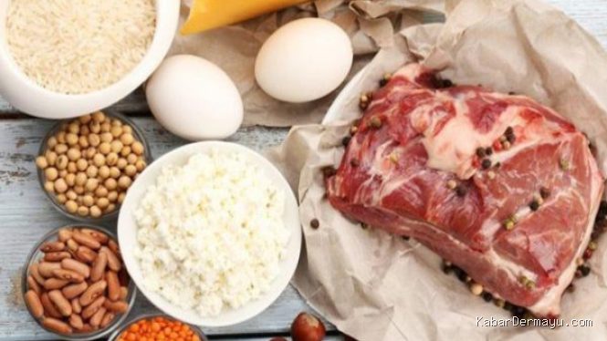 Strategi Membangun Industri Protein Nasional dengan Kolaborasi Global