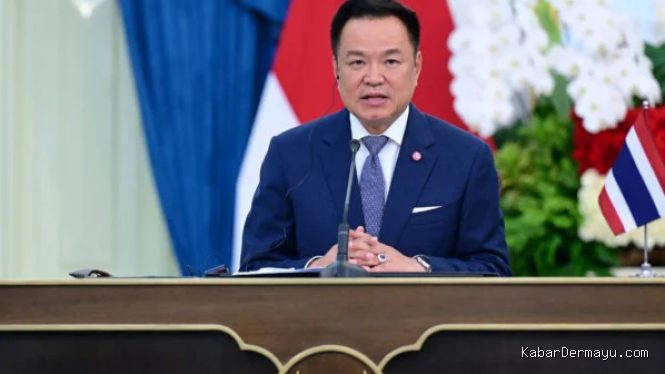Thailand Tawarkan Beras dan Daging ke RI, Syaratnya Jatah Pupuk Urea Ditambah