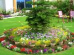 10-inspirasi-desain-taman-bunga-cantik-di-halaman-depan-rumah-13111 Photo by gardencenter.co.id - 10 Inspirasi Desain Taman Bunga Cantik di Halaman Depan Rumah