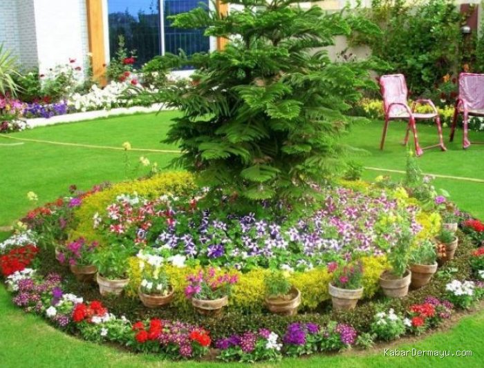 Photo by gardencenter.co.id - 10 Inspirasi Desain Taman Bunga Cantik di Halaman Depan Rumah