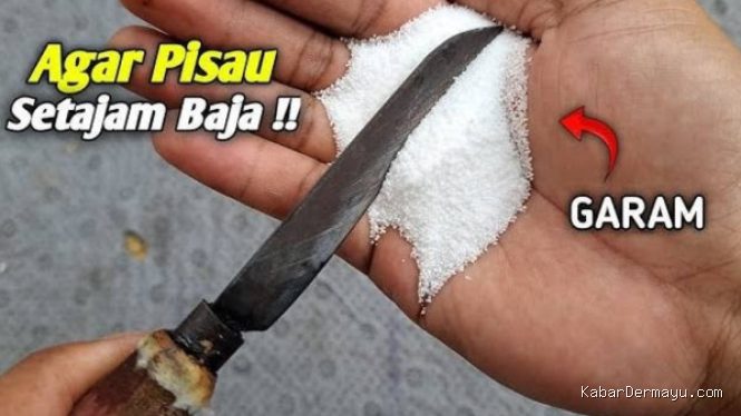 Photo by cianjur.viva.co.id - Cara Menghilangkan Bau Amis di Pisau Dapur dengan Garam Kasur