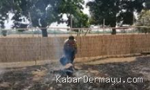 Kebakaran Lahan Mangga di Haurgeulis Indramayu, Warga Sigap Cegah Api ke Permukiman