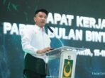 kritik-usulan-pt-5-persen-pbb-ingatkan-dpr-pentingnya-basis-data-rasional-52472 Kritik Usulan PT 5 Persen: PBB Ingatkan DPR Pentingnya Basis Data Rasional