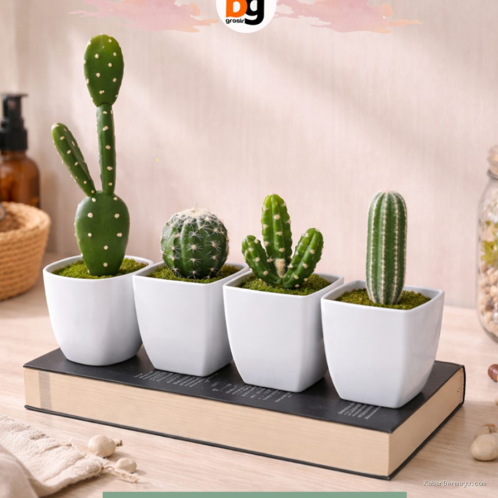 Photo by shopee.co.id - Manfaat Meletakkan Kaktus Mini di Meja Kerja dan Belajar