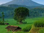 Photo by id.pinterest.com - Panduan Fotografi Pemandangan Estetik dengan Kamera Ponsel
