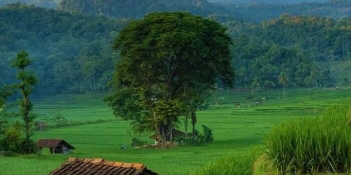 Photo by id.pinterest.com - Panduan Fotografi Pemandangan Estetik dengan Kamera Ponsel