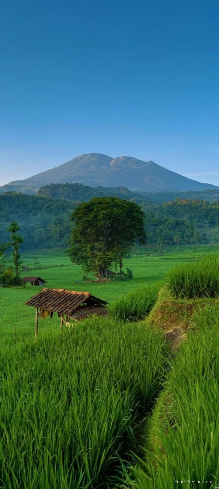 Photo by id.pinterest.com - Panduan Fotografi Pemandangan Estetik dengan Kamera Ponsel