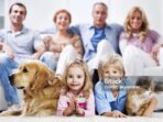 Photo by istockphoto.com - Panduan Memilih Hewan Peliharaan yang Tepat untuk Keluarga