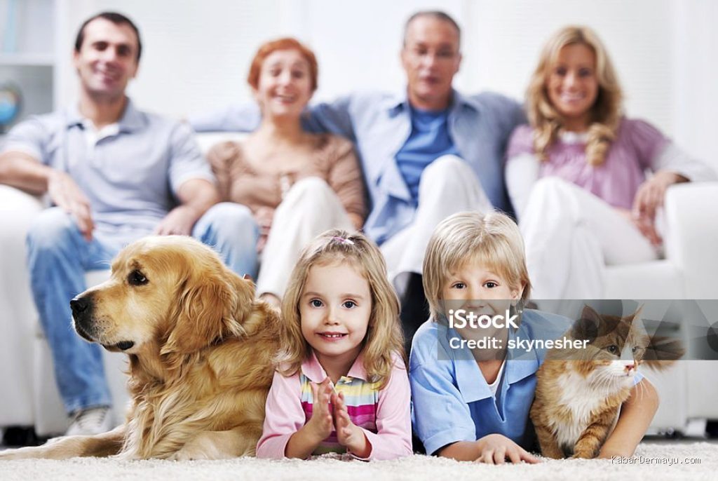 Photo by istockphoto.com - Panduan Memilih Hewan Peliharaan yang Tepat untuk Keluarga