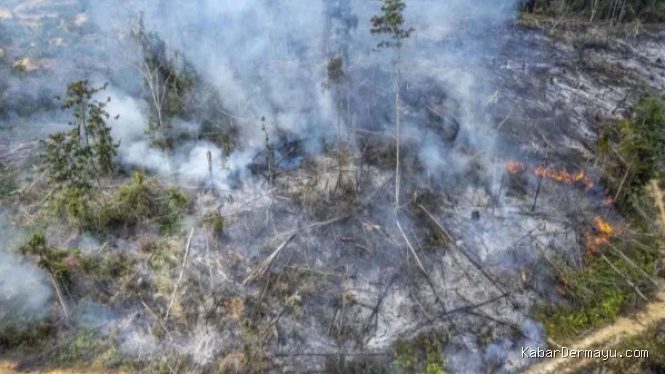 Tegas, Menhut Raja Juli Bekukan Izin 26 Perusahaan Terkait Karhutla