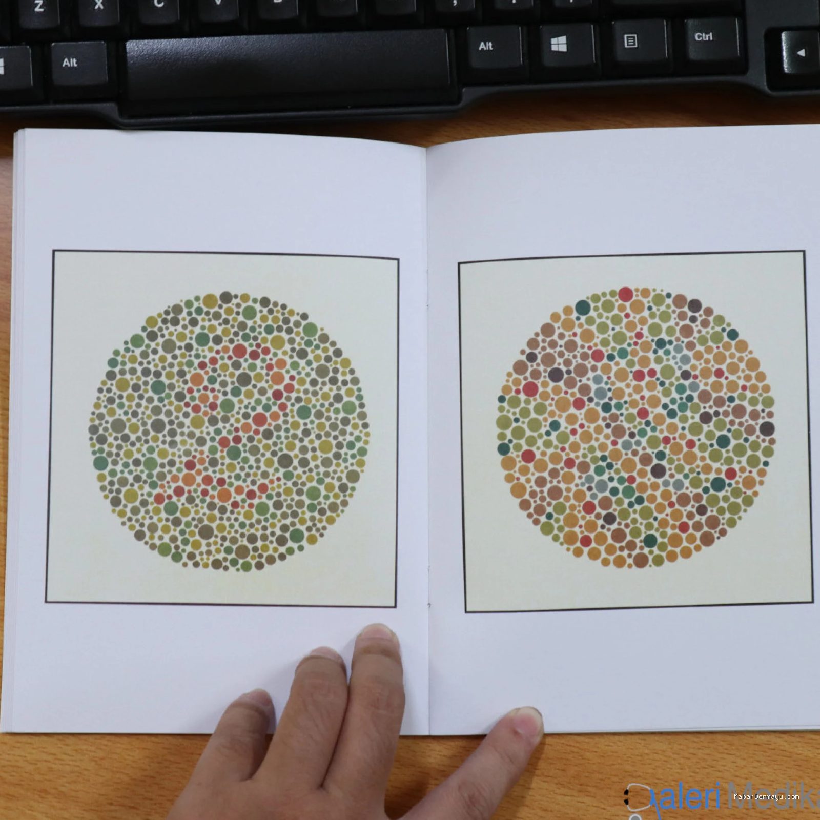Trik Lolos Tes Buta Warna Ishihara 38 Plat Buku Tanpa Bikin Pusing