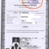 Syarat Mengurus Legalisir Ijazah Terakhir di Dinas Pendidikan Buat Berkas Kerja