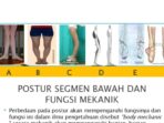 Photo by id.scribd.com - Trik Berdiri Tegak Tanpa Goyang Saat Pemeriksaan Kaki O dan Kaki X