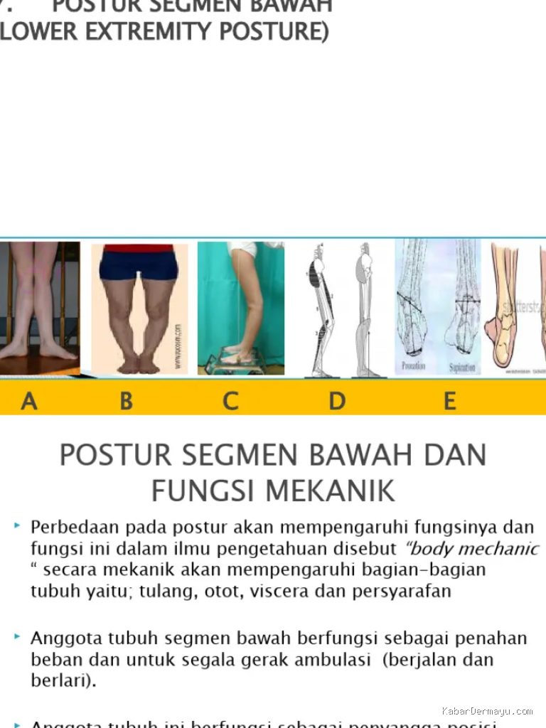 Photo by id.scribd.com - Trik Berdiri Tegak Tanpa Goyang Saat Pemeriksaan Kaki O dan Kaki X