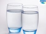 Photo by idesouvenird.blogspot.com - Trik Mengatur Pola Minum Air Putih Dua Hari Sebelum Pemeriksaan Darah MCU